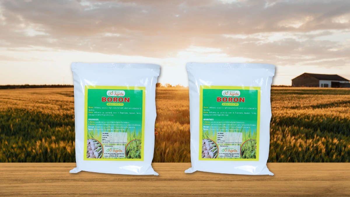 Divya Agros BORON – Boron EDTA 20%